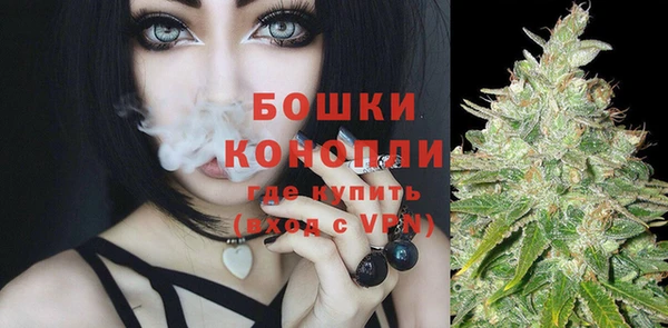 шишки Алзамай
