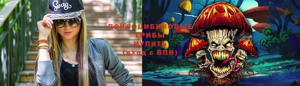 шишки Алзамай